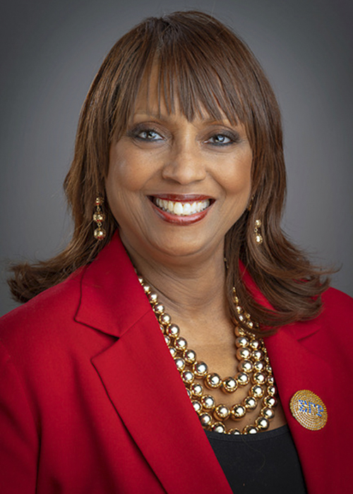 Photograph of Representative  Debbie Meyers-Martin (D)